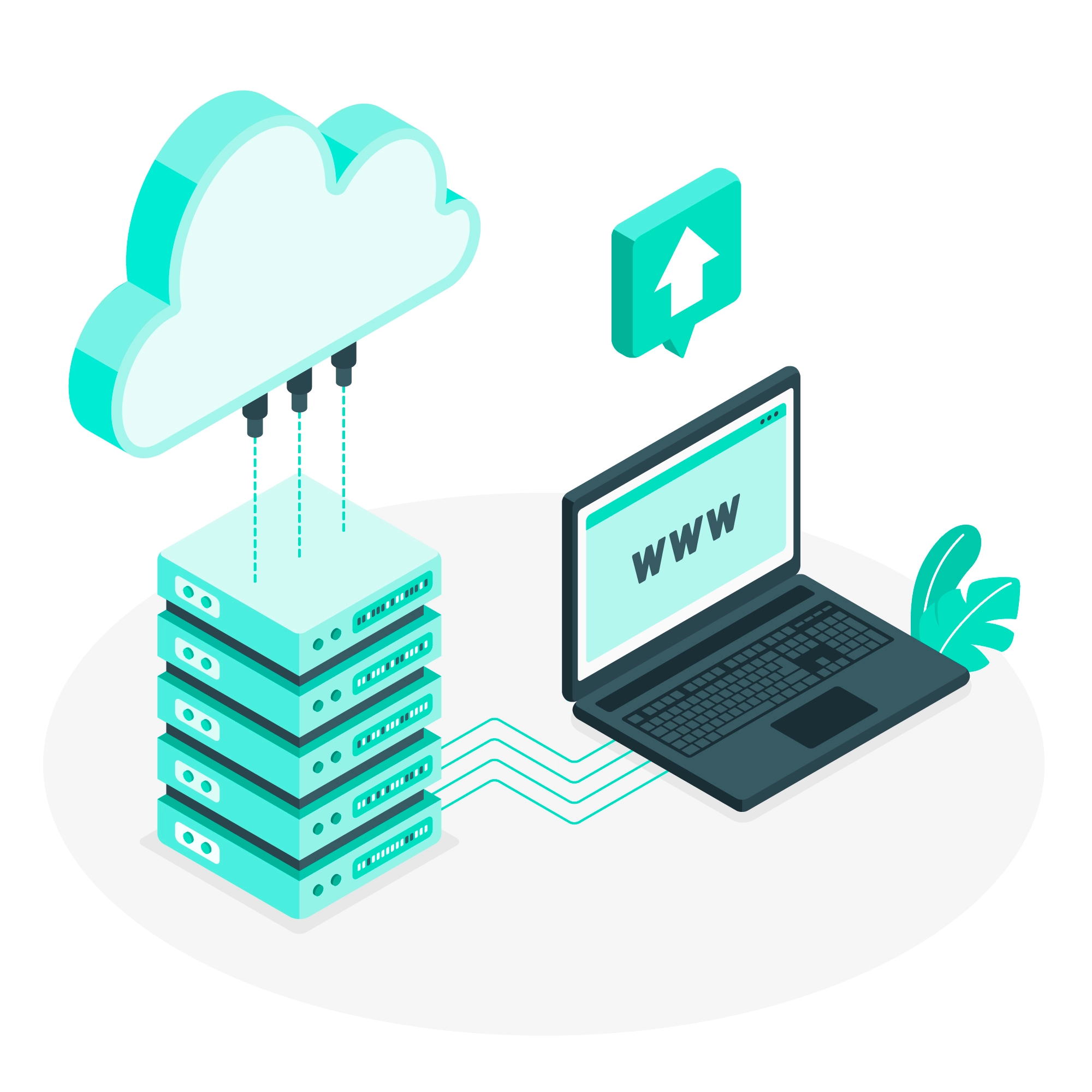 Understanding What Your Ugandan Website Needs